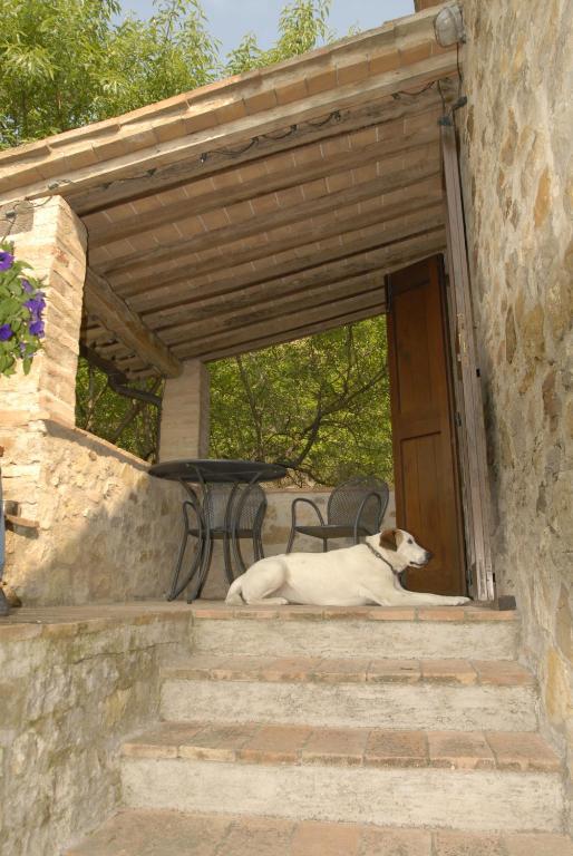 Podere Monte Petreto San Savino  Room photo